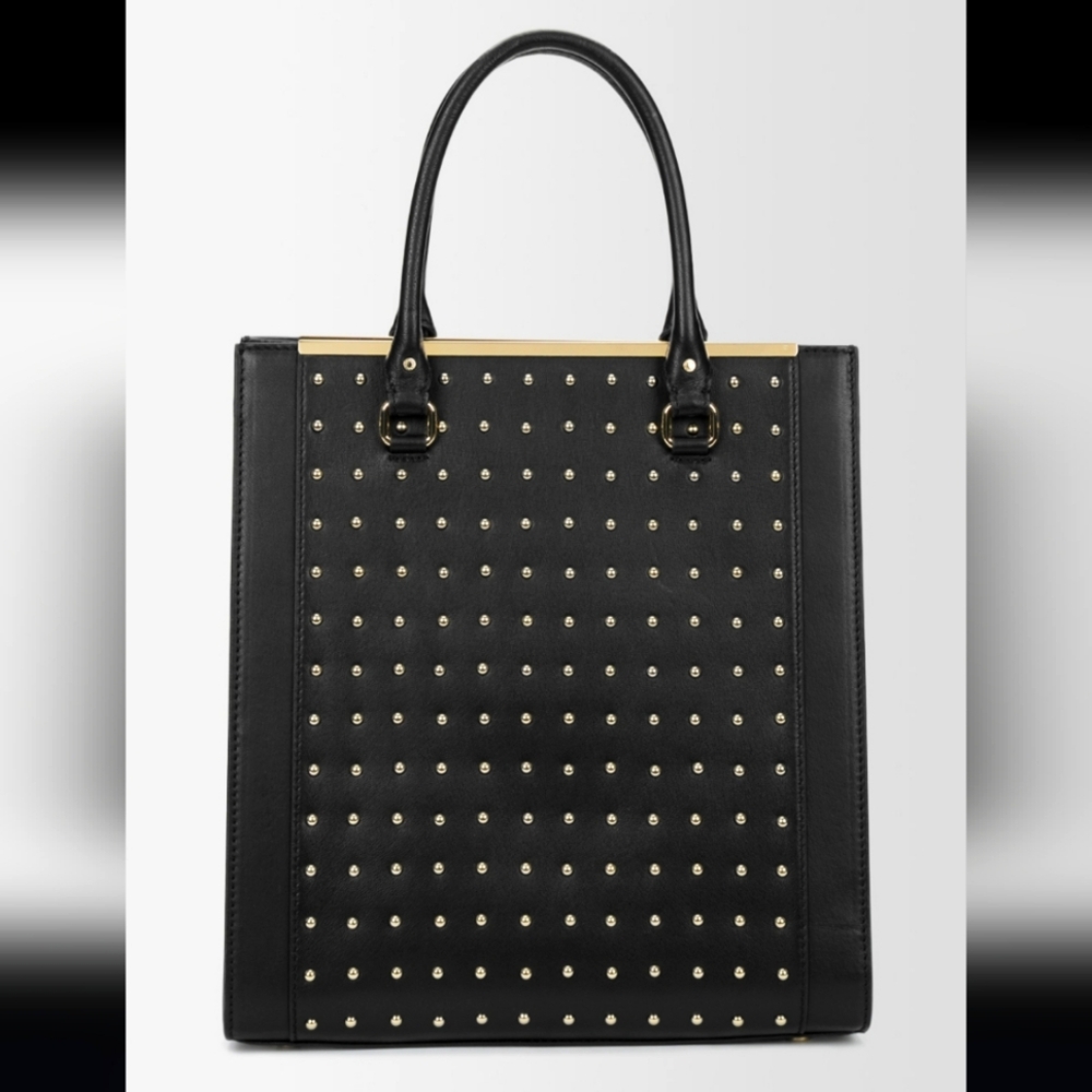 Danier + Alexia Fast Handbag Collaboration • Black Leather • Gold Accessories